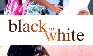 Poster for the movie "Black or White"