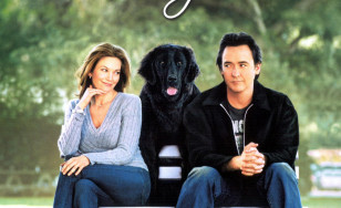 Poster for the movie "Must Love Dogs"