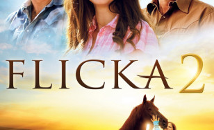 Poster for the movie "Flicka 2"