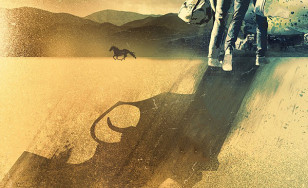 Poster for the movie "Broken Horses"