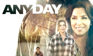 Poster for the movie "Any Day"