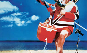 Poster for the movie "Summer Rental"
