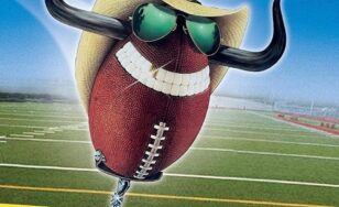 Poster for the movie "Necessary Roughness"