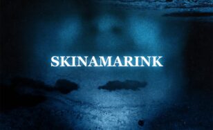 Poster for the movie "Skinamarink"