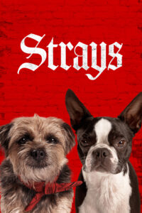 Poster for the movie "Strays"